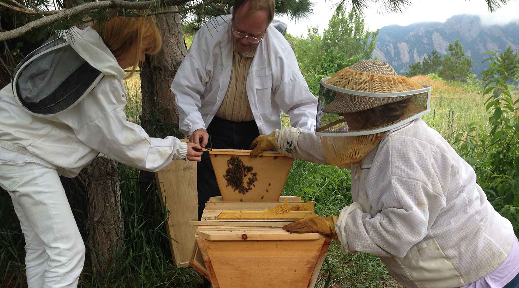 Bee Doctor Intensives - Closely Working with the Bees