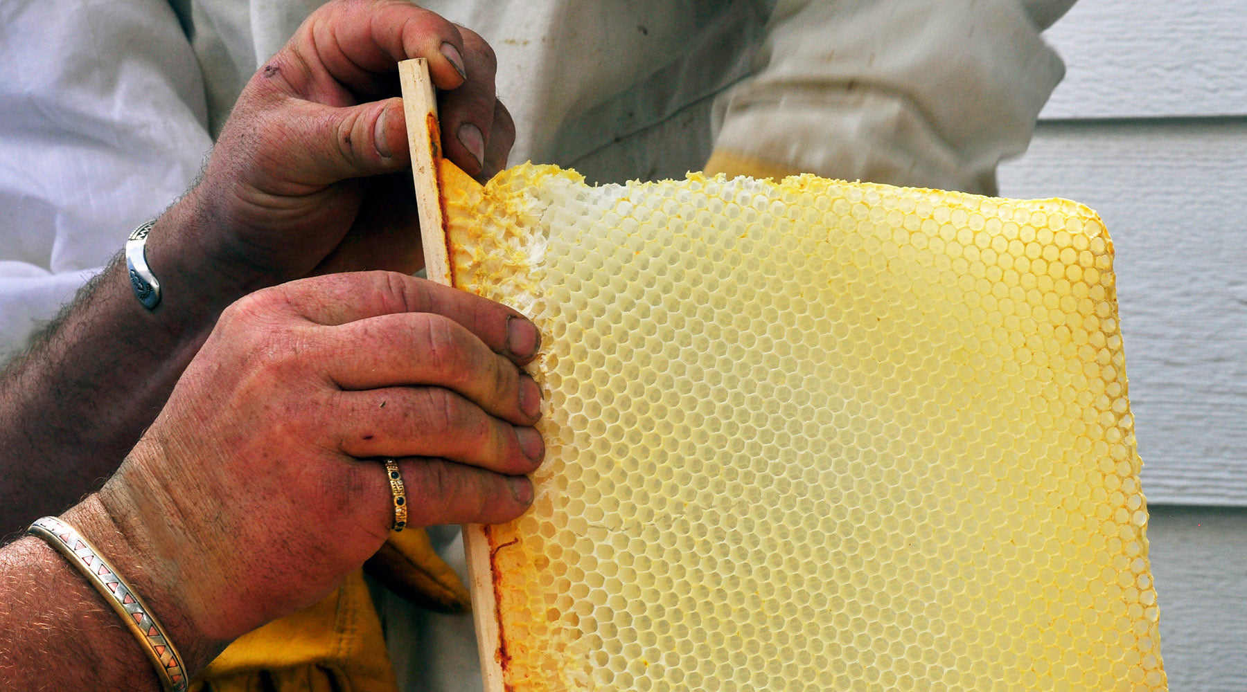 fixing-crooked-bee-hive-comb