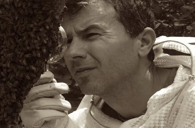 Bee Guardian Project Brinton inspecting brood comb