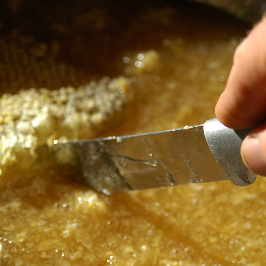 crush and strain honey harvest