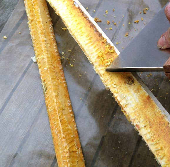 Bee Hive Scraper and Clean-up Tool