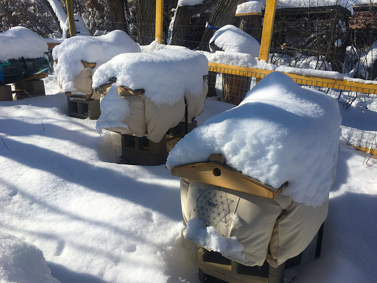 Bee Hive Insulation for the Winter: Essential Tips and Tricks