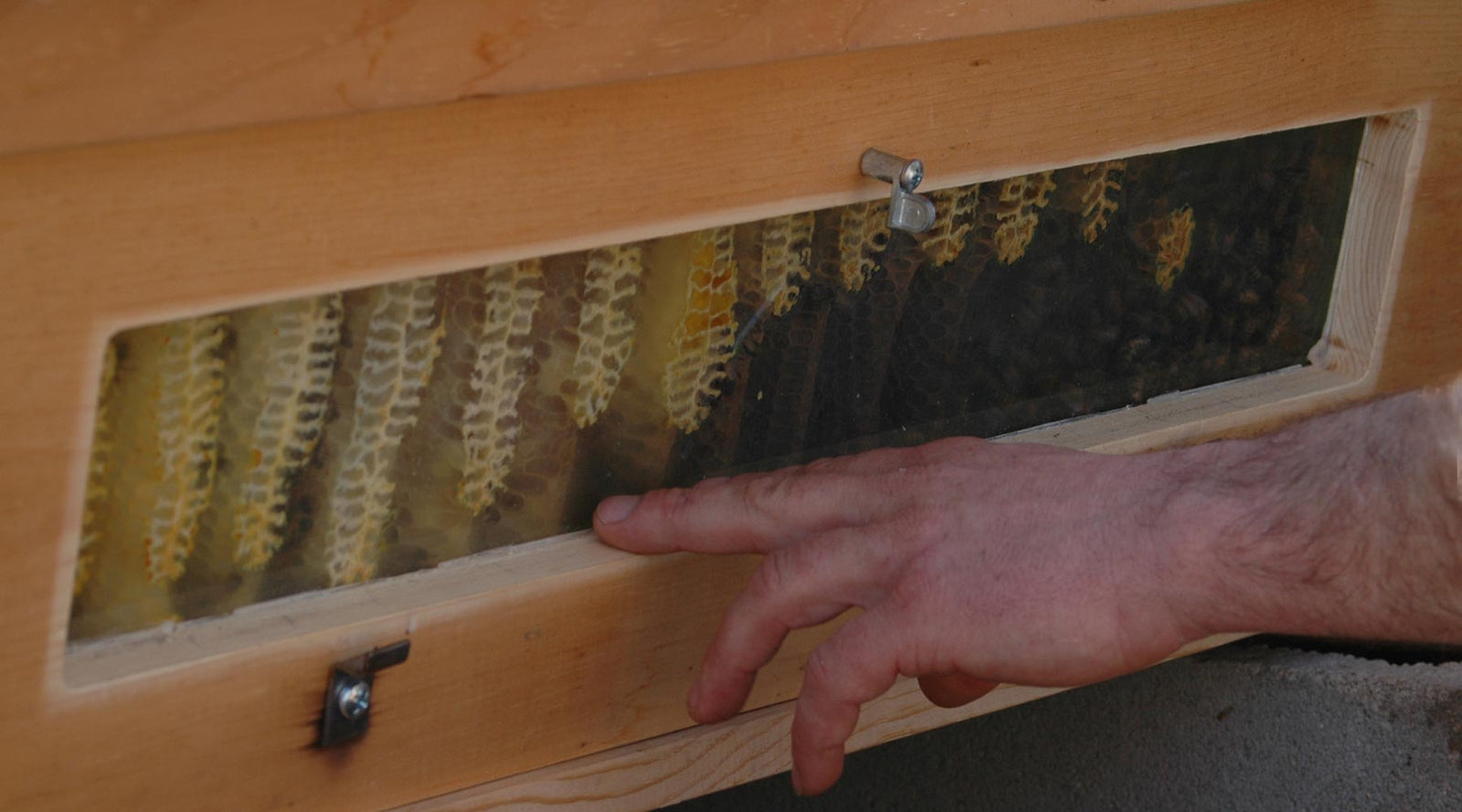 balanced beekeeping for everyone, natural beekeeping, top bar hive