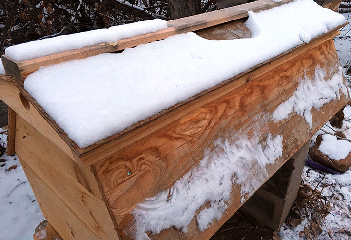 Insulating The Cathedral Hive®