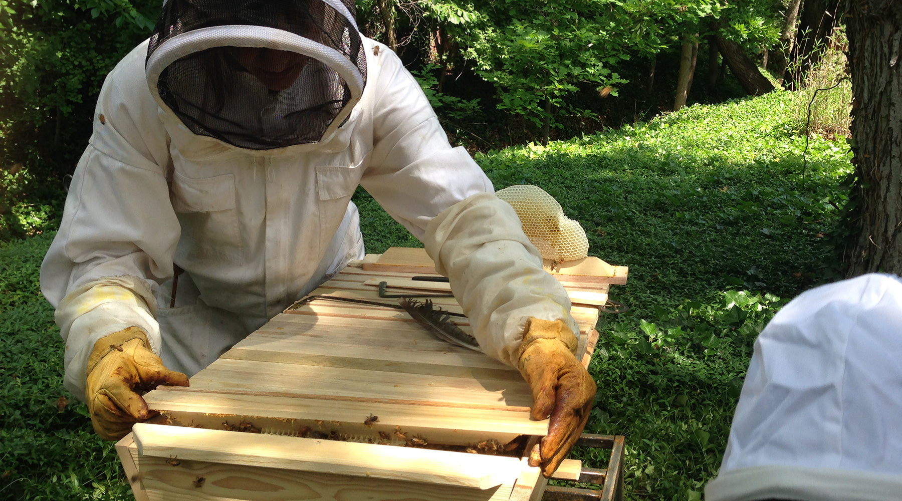 why-top-bar-hives-pulling-comb