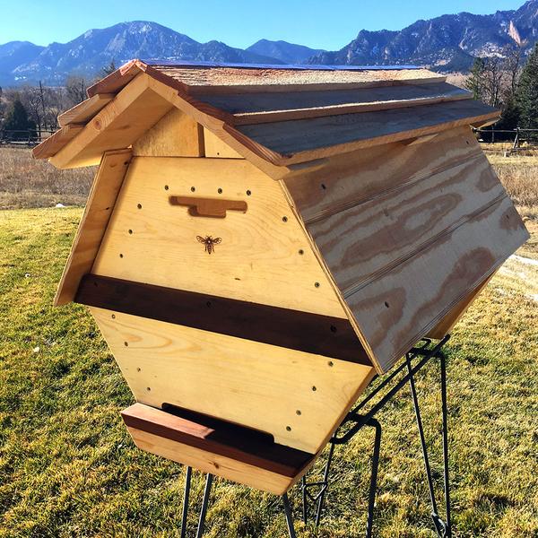 The Cathedral Northern Lights Hive®