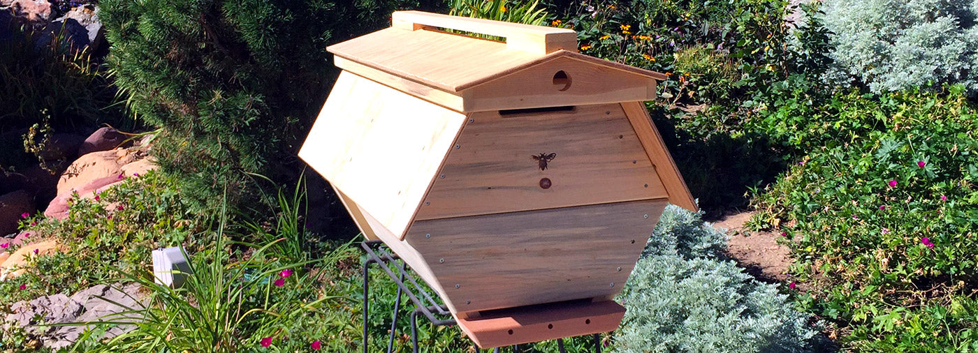 The Cathedral Hive® Collection