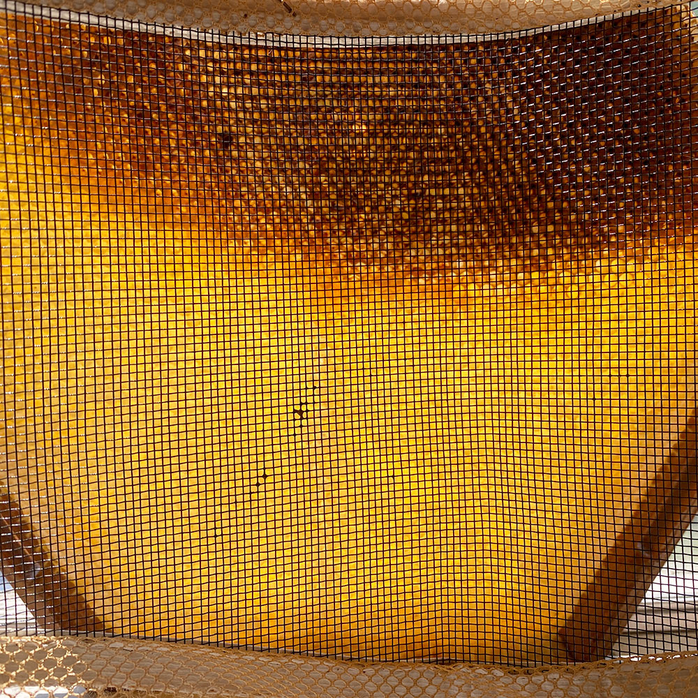 Old school mesh beekeeping veil