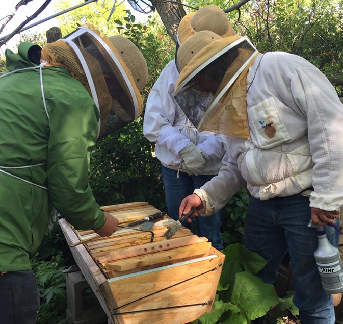 Bee Doctor Intensives with Corwin Bell learn natural beekeeping