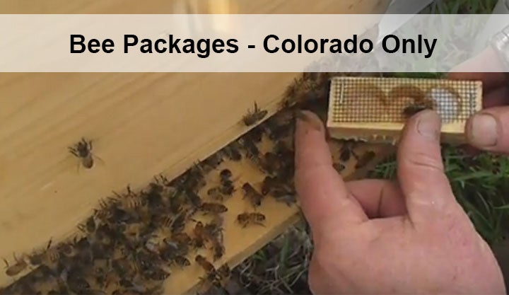 2024 Bee Packages