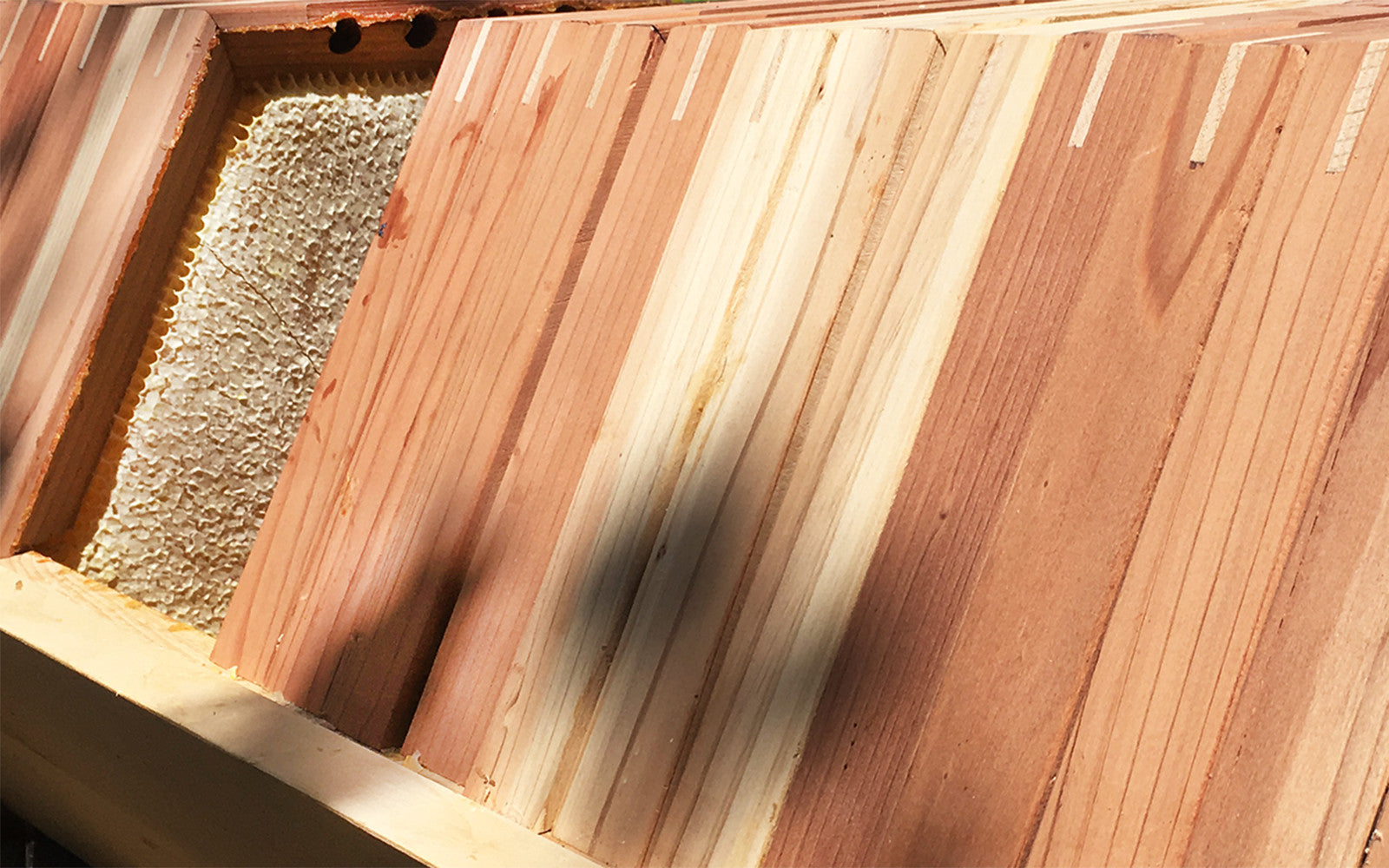 The Cathedral Hive Passage Bars