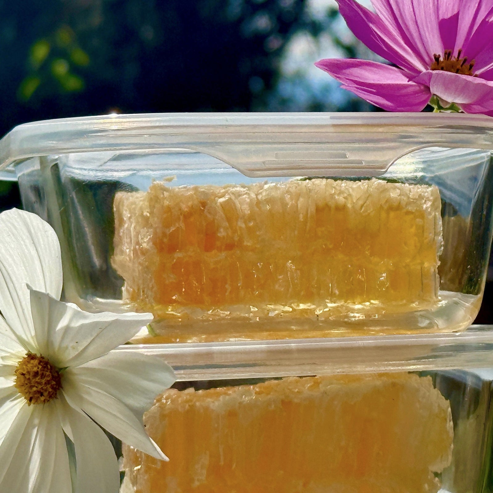 Raw, pure honeycomb