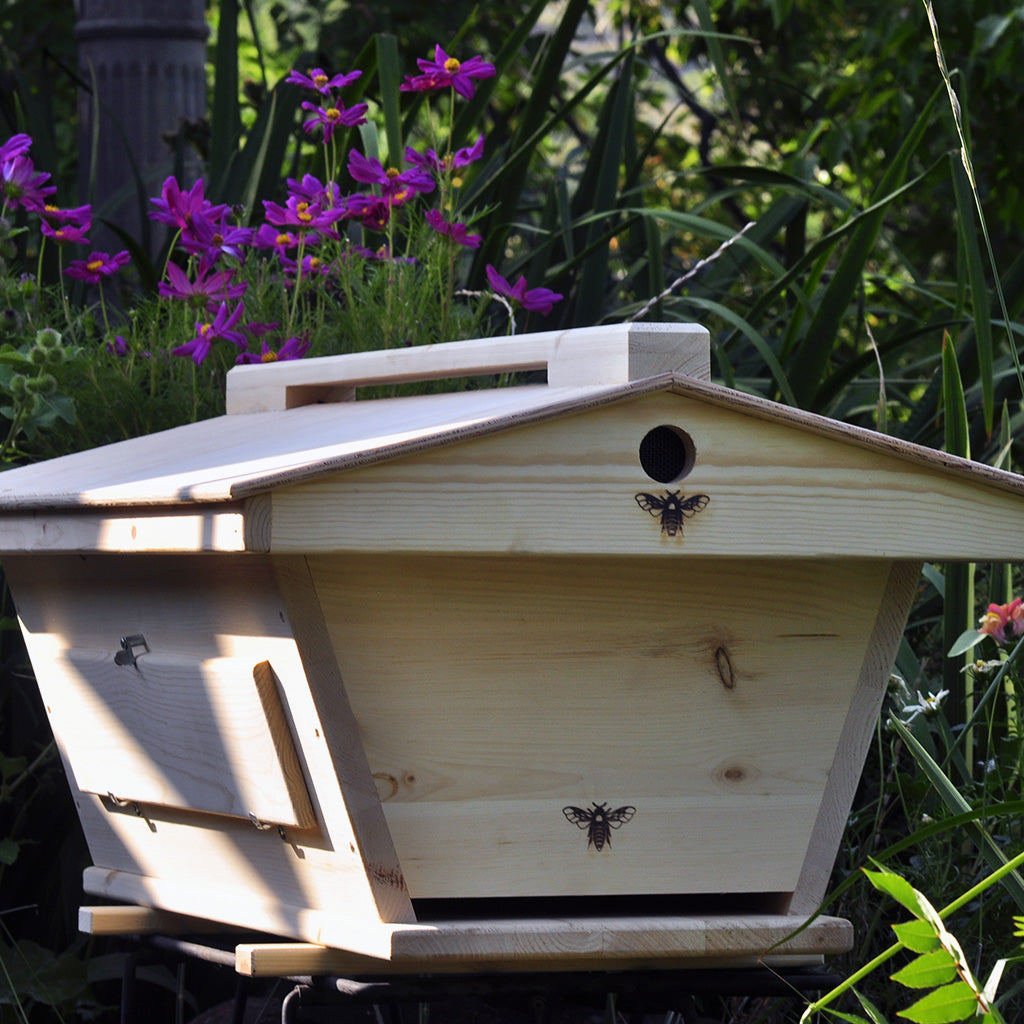 The Golden Mean Hive - Passage Bars