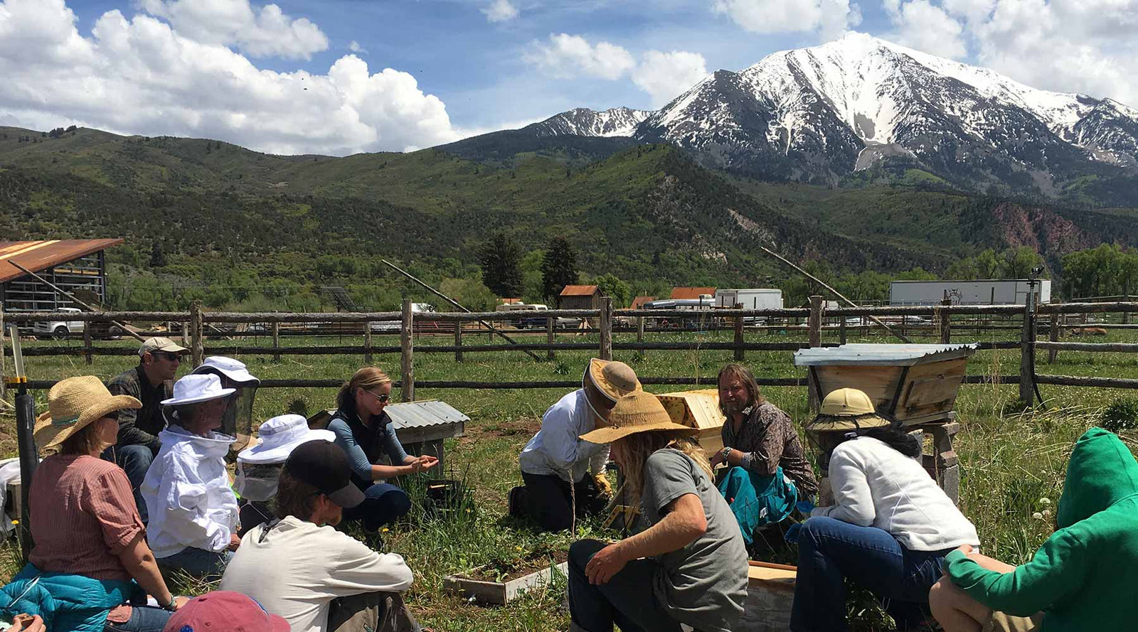 Coriwn Bell Bee Guardianship Natural beekeeping Classes