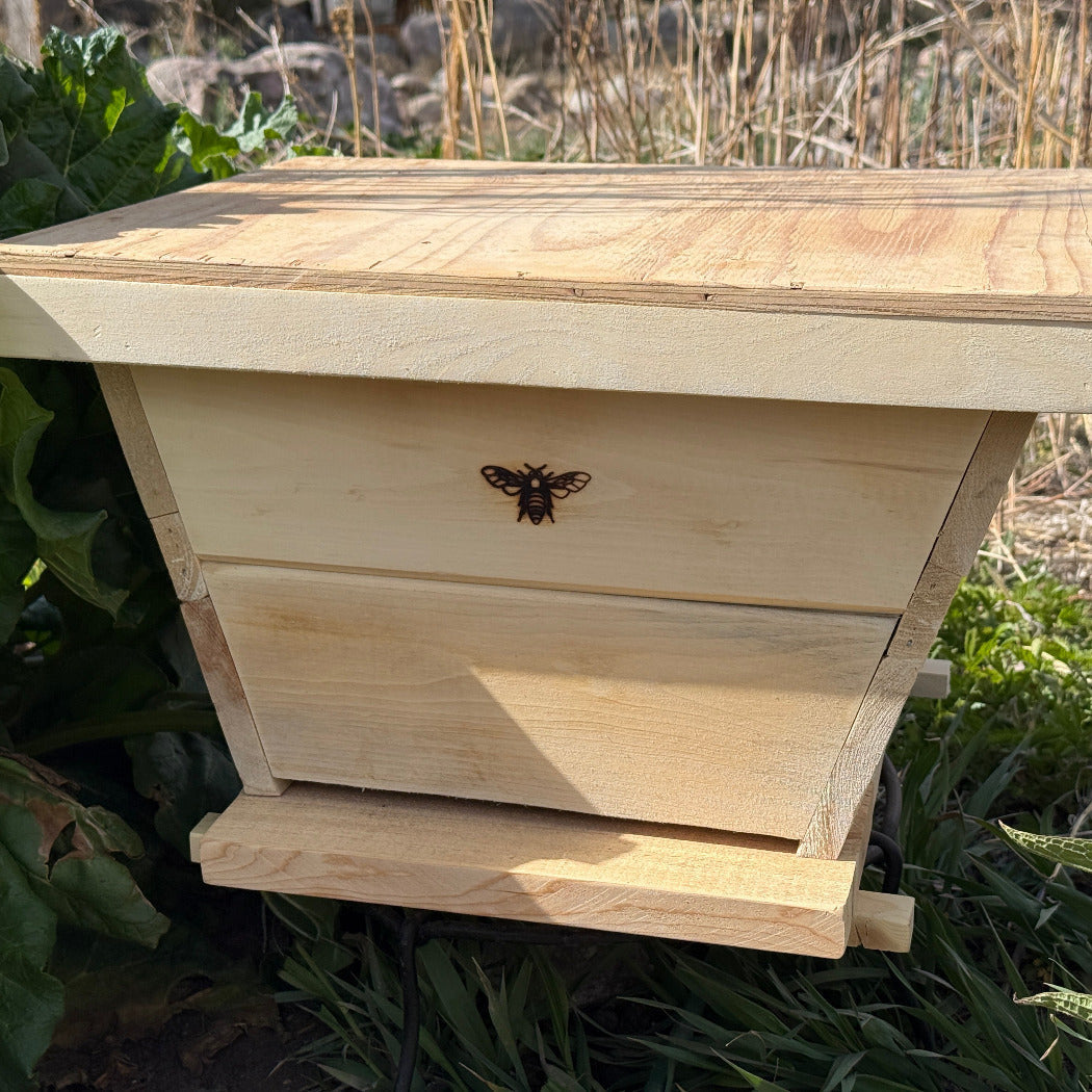 Nuc-Top-Bar-Golden-Mean-Hive