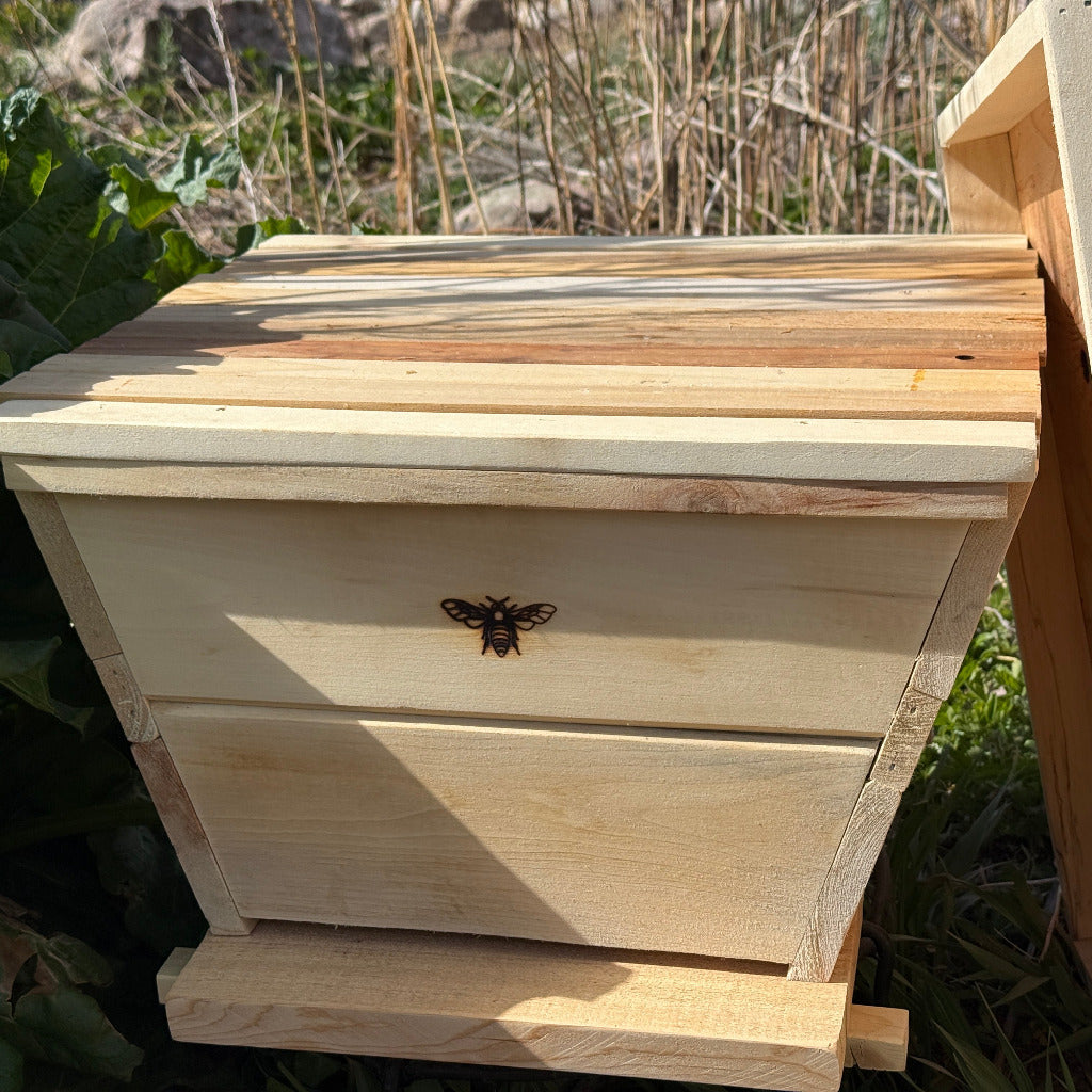 Nuc-Top-Bar-Hive-Golden-Mean
