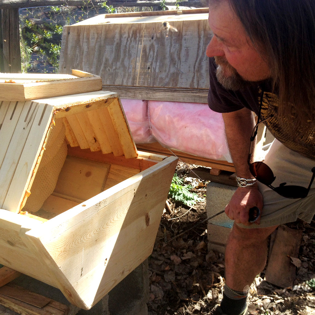 Corwin Bell designer of The Cathedral Hive looking into the bee hive