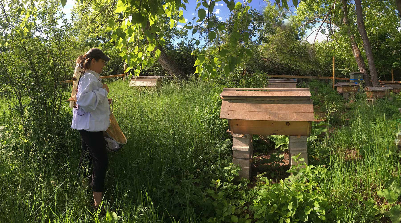 bee-guardian-hive-tool-quiver-apiary