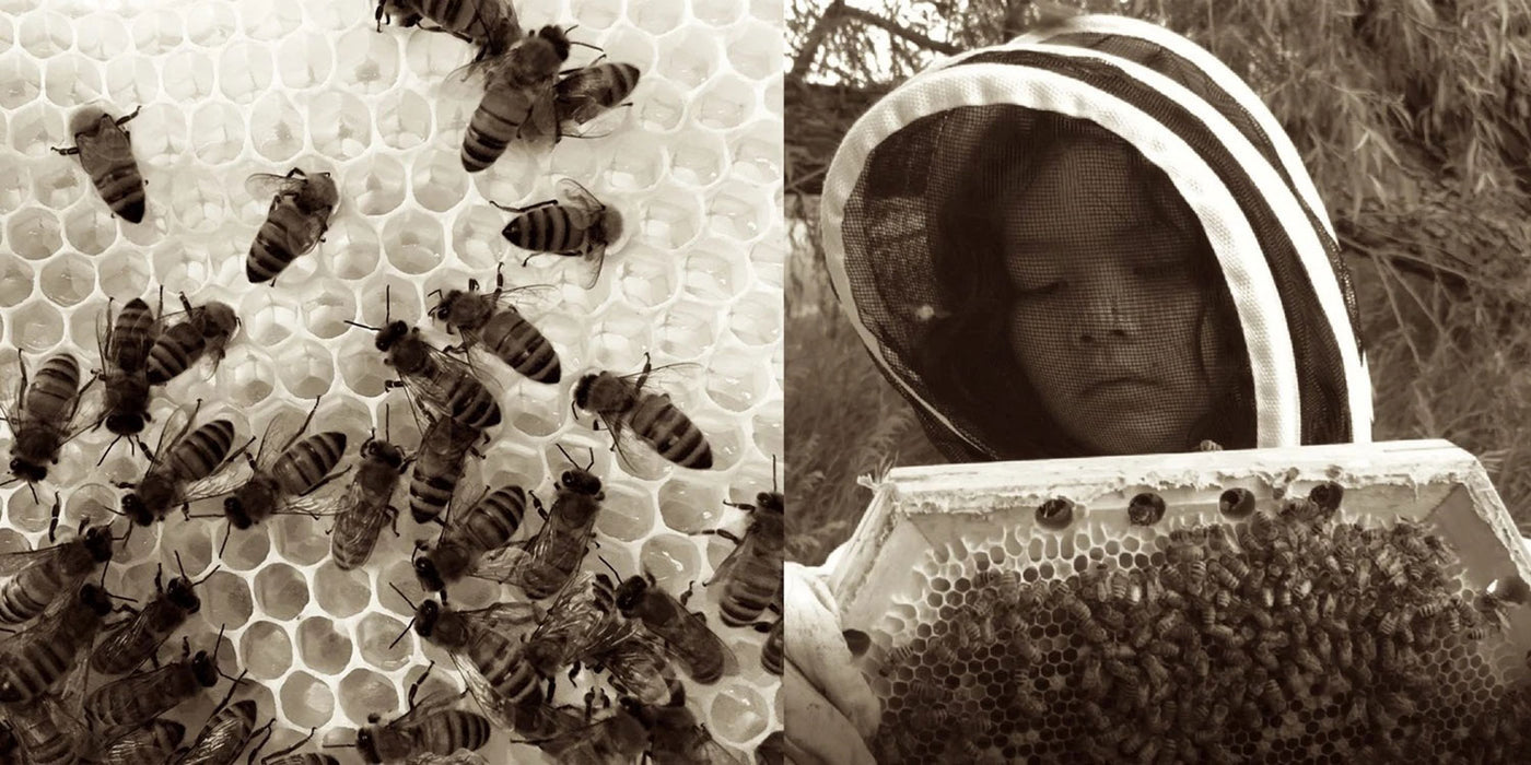 The Bee Guardian Project