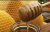pure raw honey Bee Guardian Honey Company