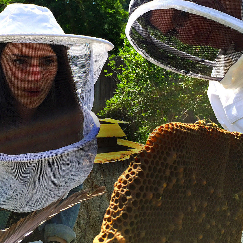 Natural Beekeeping Classes