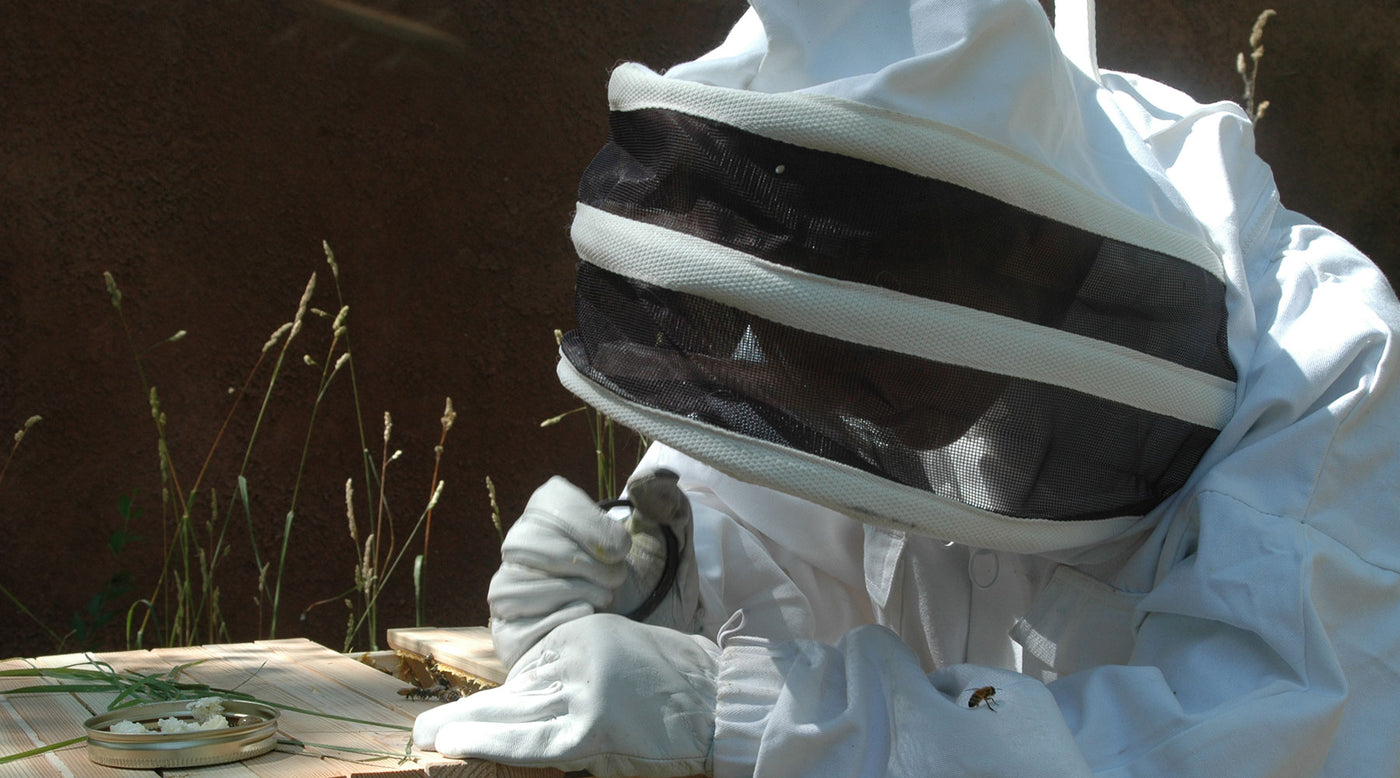 protective gear beekeeping suit