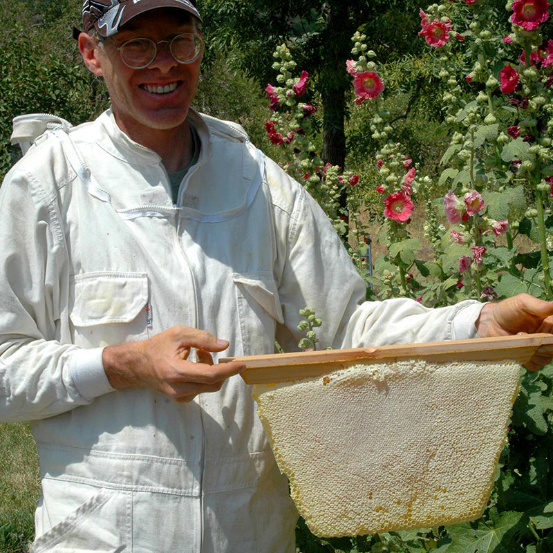 The Golden Mean Hive - Passage Bars