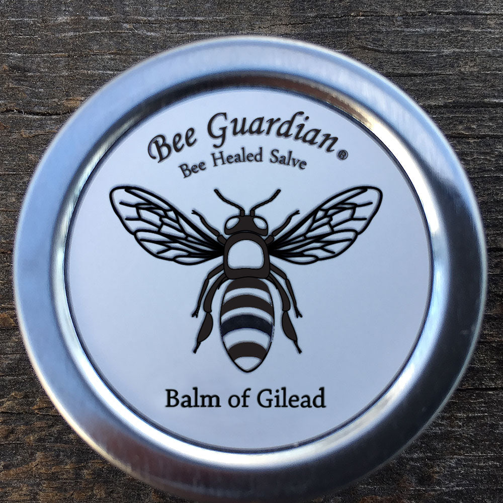 Bee Gurdian Bee Healed Skin Salve organic Balm of Gilead