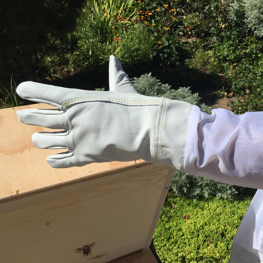 BeekeepingGloves