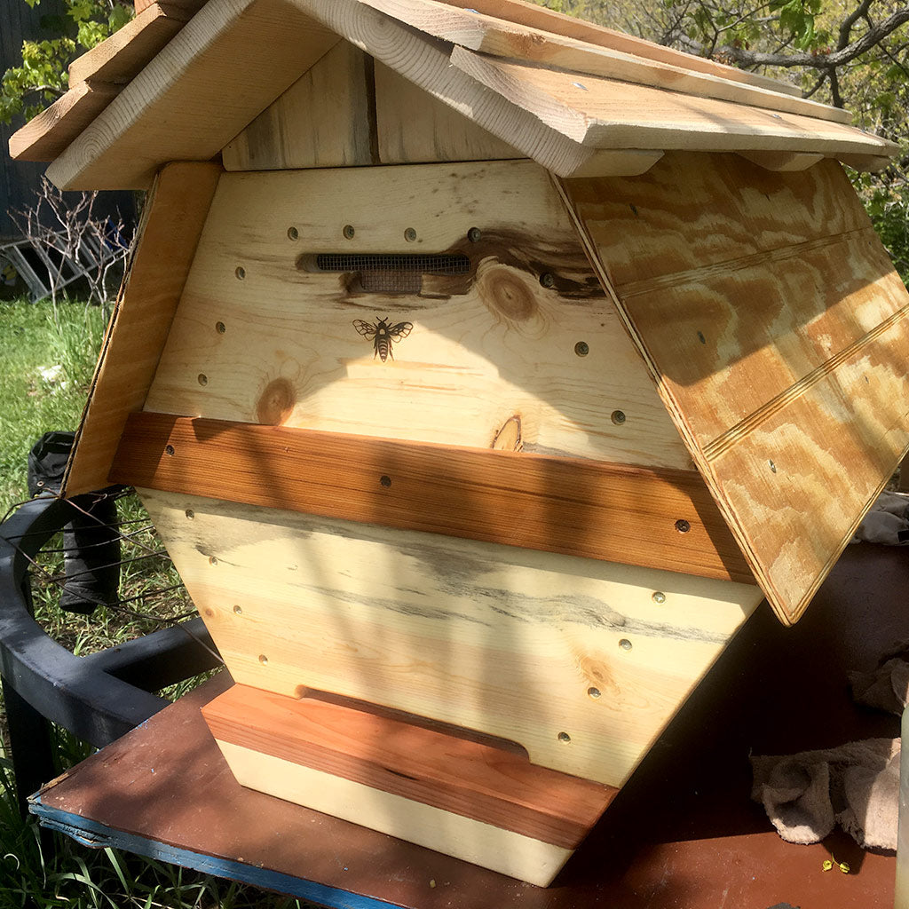 The Cathedral Northern Lights Hive® - Fully Assembled - BackYardHive