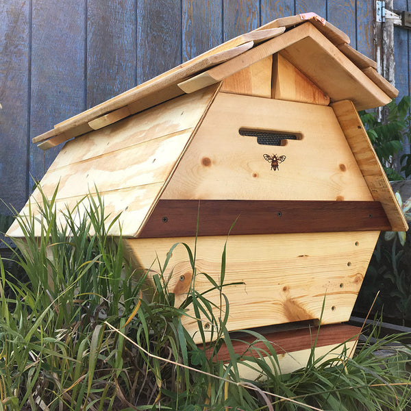 Hexagonal honey comb from a Cathedral Hive