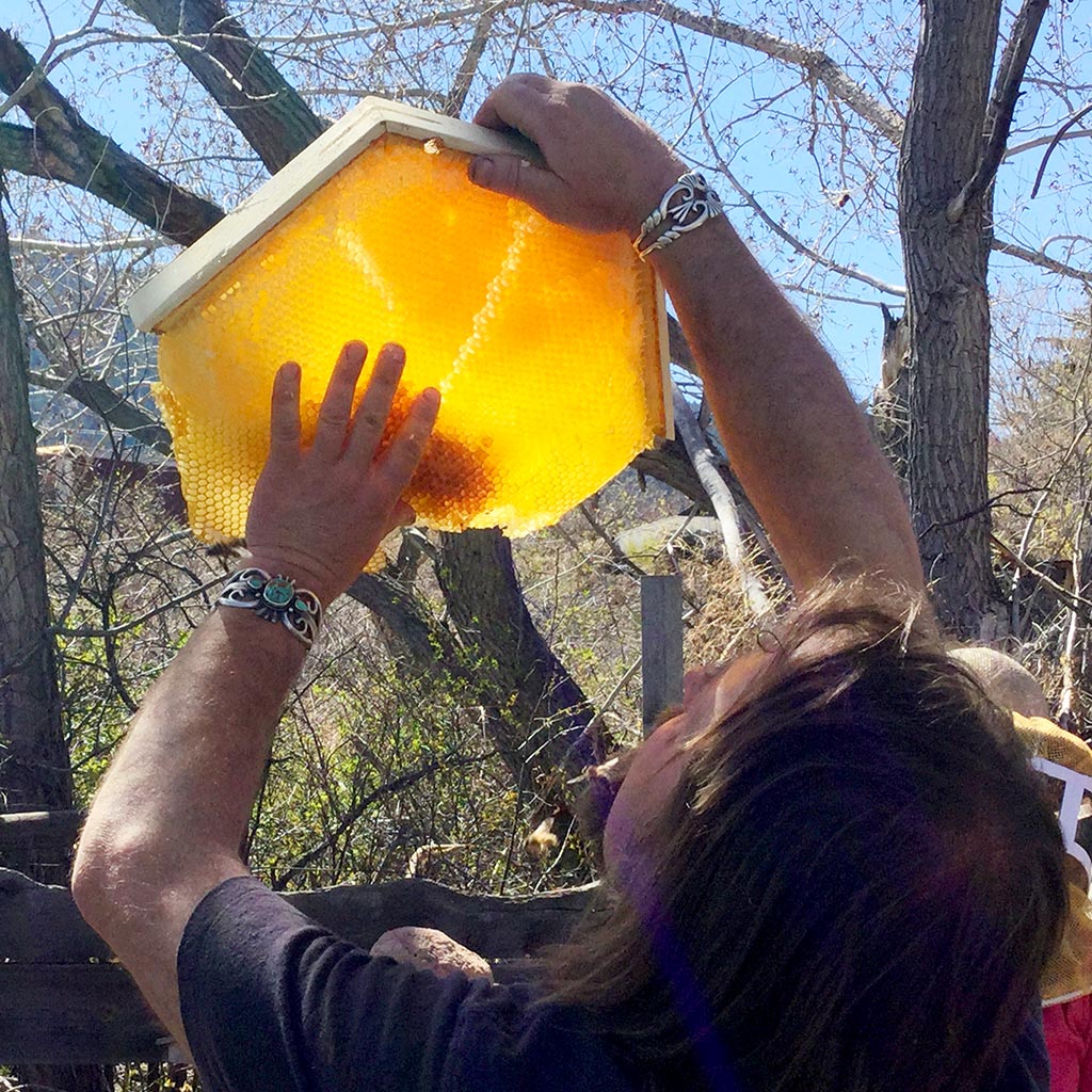 Questions with Corwin - Mini-Conference Call