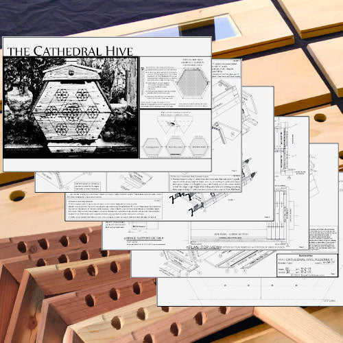 The Cathedral Northern Lights Hive® - Unassembled