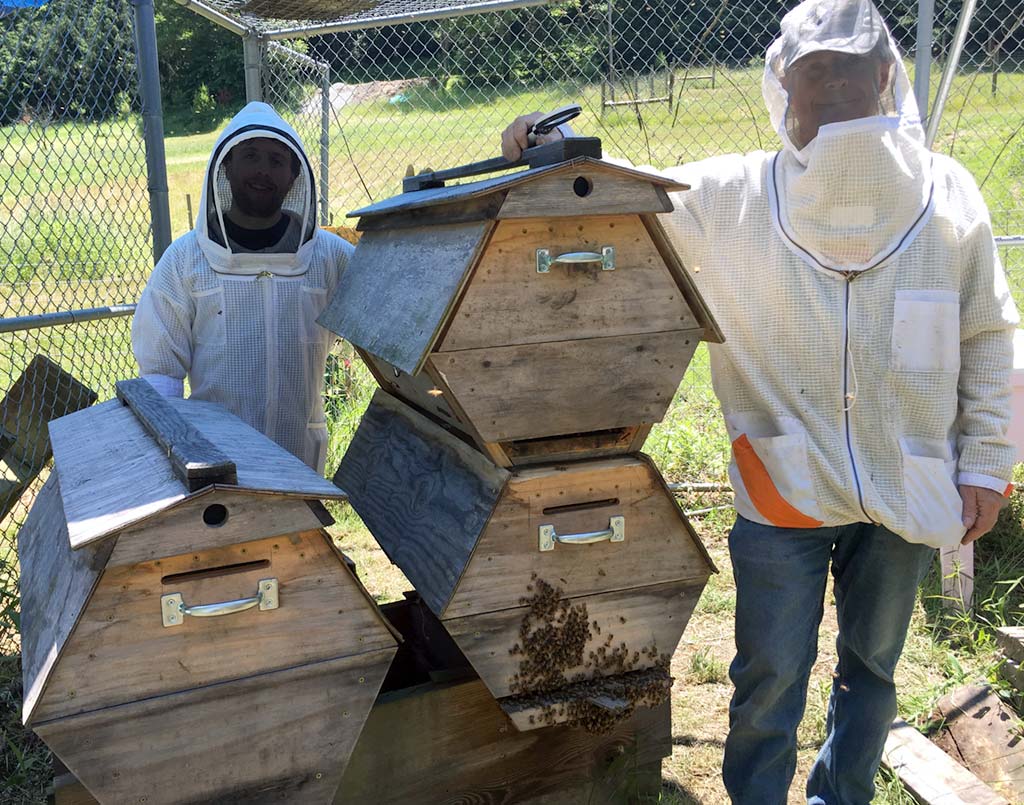 Corwin-Bell-Bee-Doctor-Intensives-cathedral-hives
