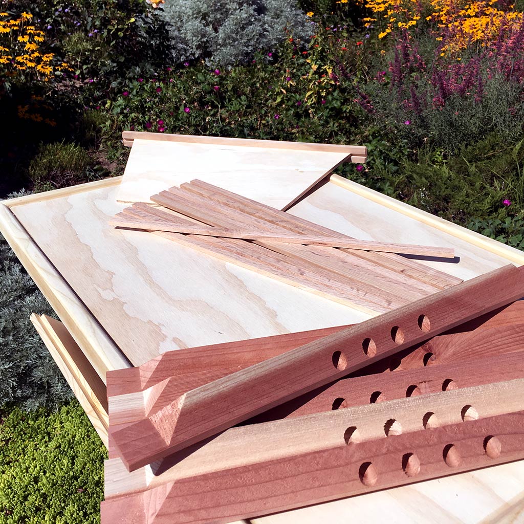 Passage Bars and The Golden Mean ratio top bar hive