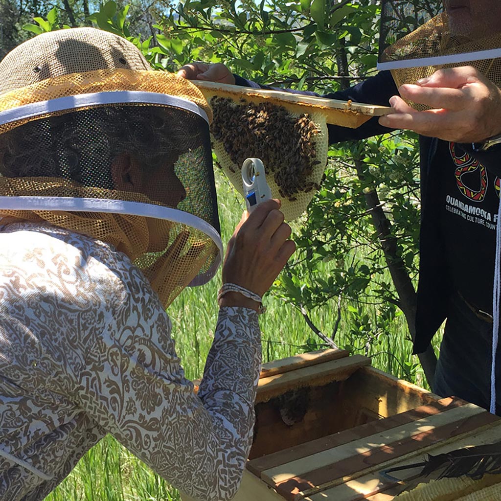 Questions with Corwin - Mini-Conference Call