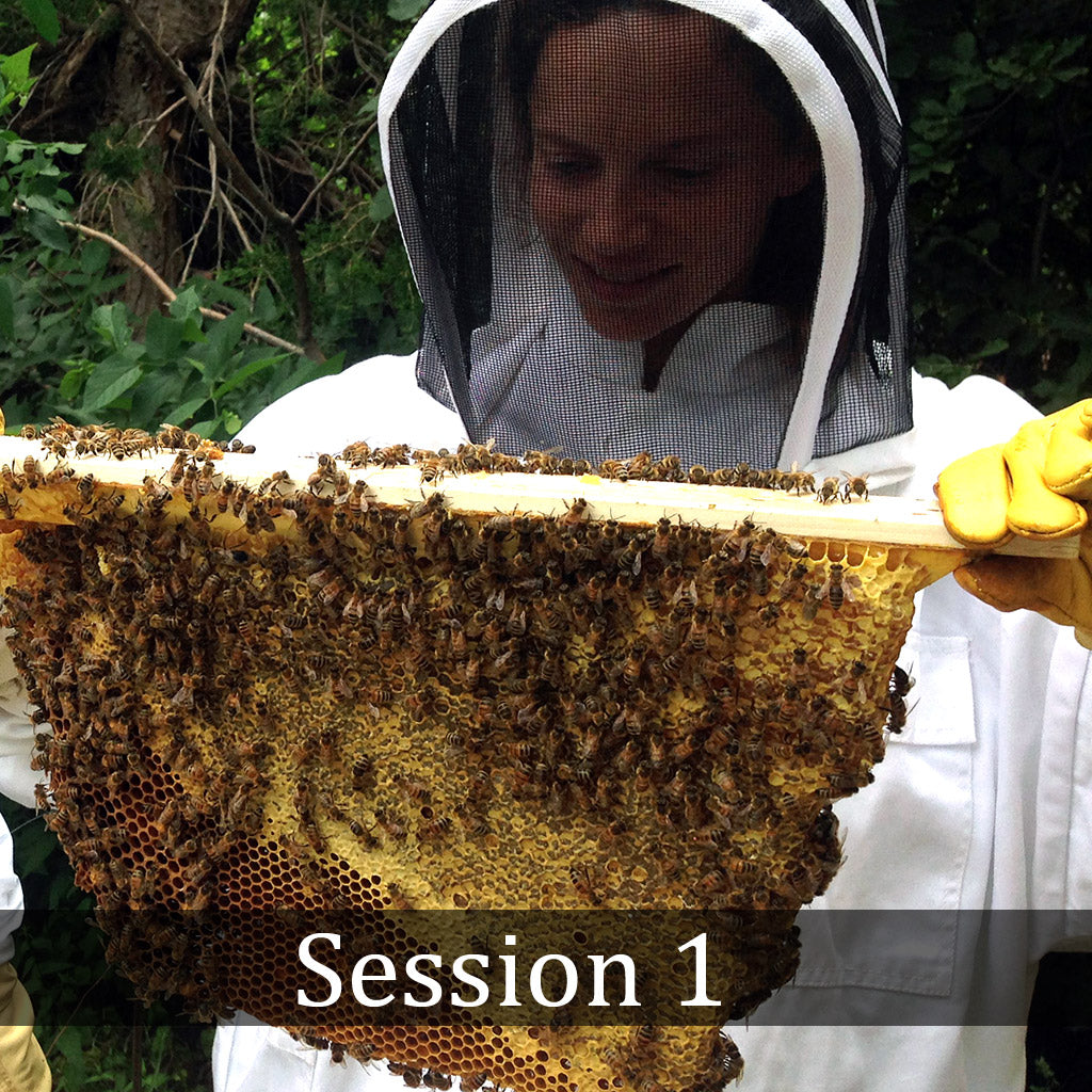 Natural Beekeeping Classes Corwin Bell - Colorado