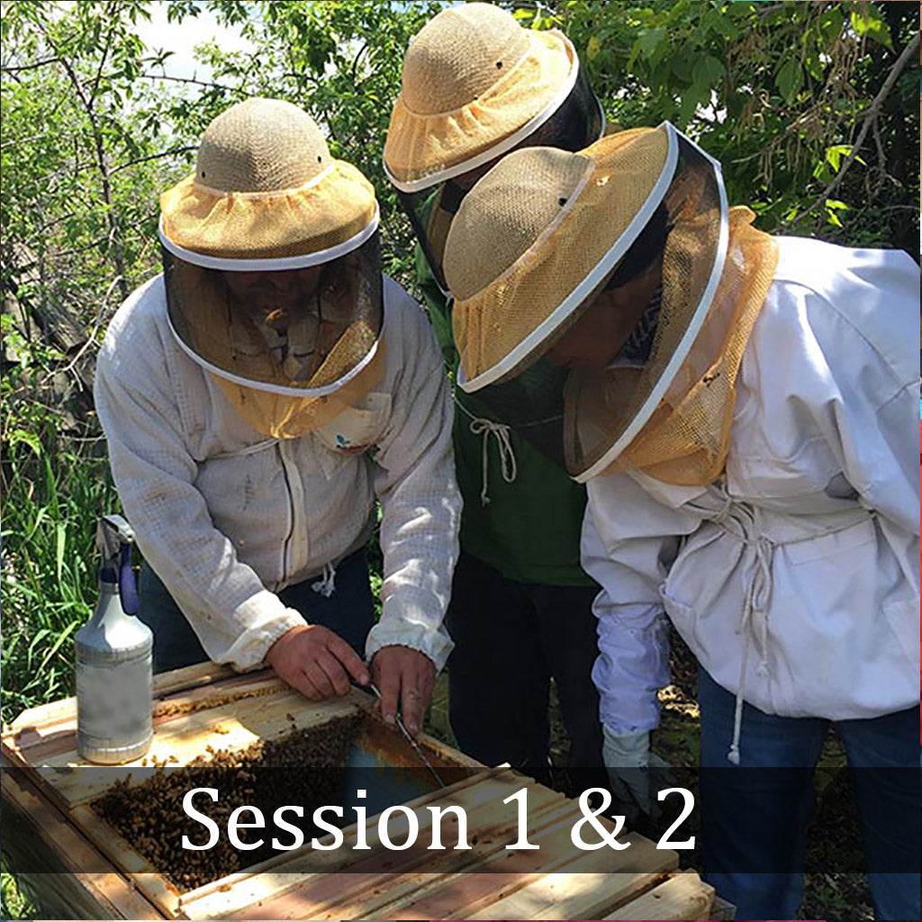 Natural Beekeeping Classes -Session 1 & 2- Boulder, CO