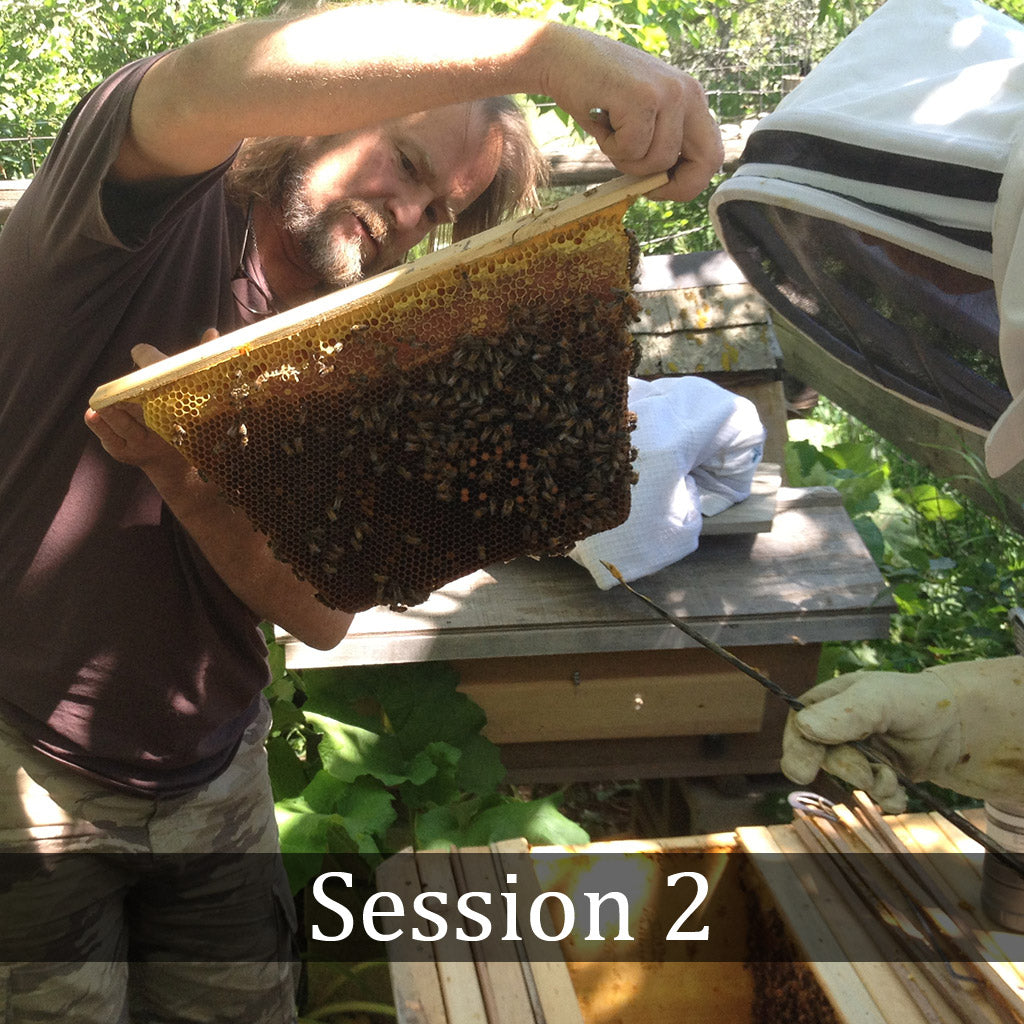 Natural Beekeeping Classes - Session 2 Colorado