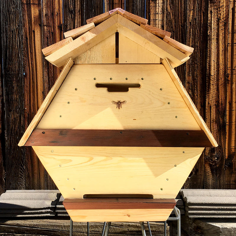 The Cathedral Northern Lights Hive® - Fully Assembled - BackYardHive