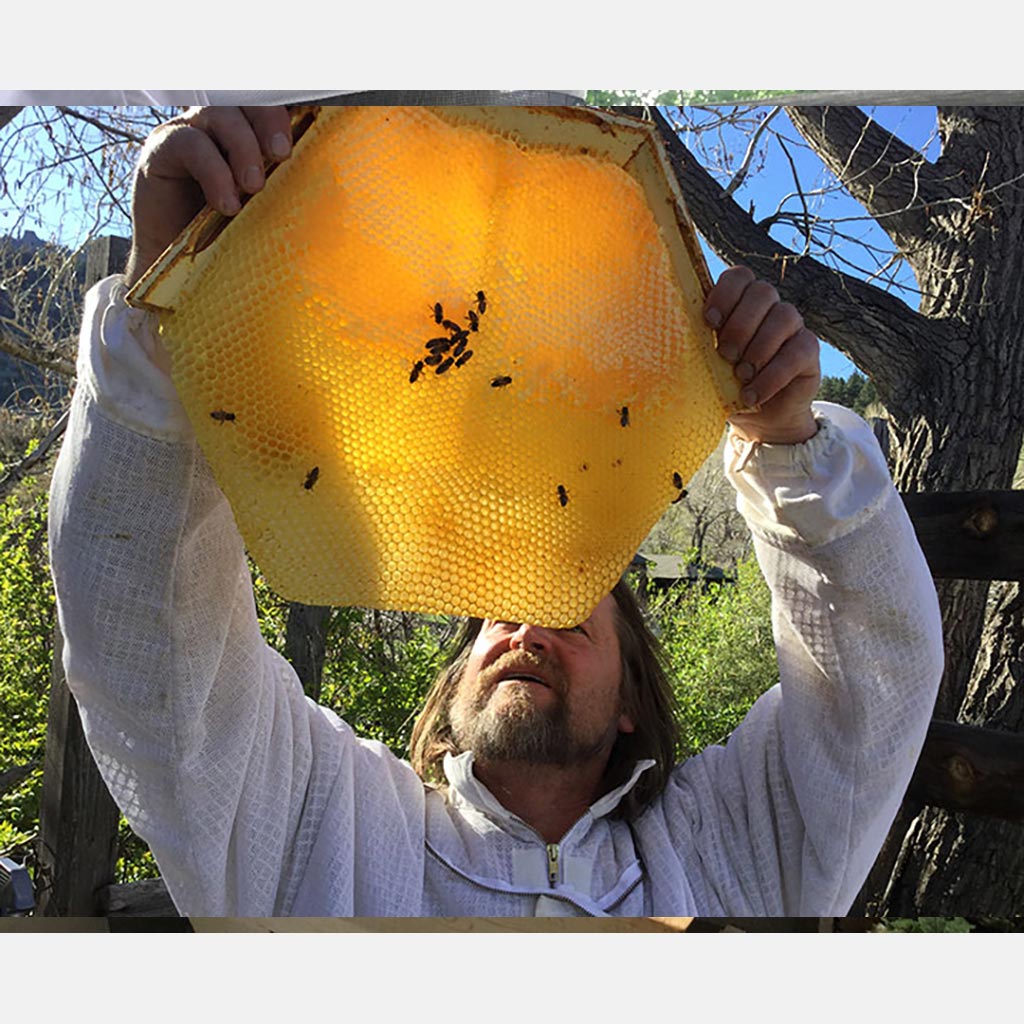 Corwin Bell with a Cathedral Hive hexagonal honeycomb