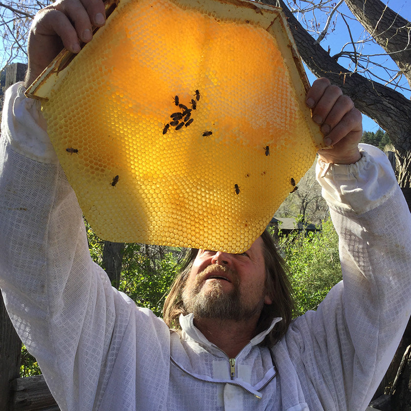 Corwin Bell Cathedral Hive classes