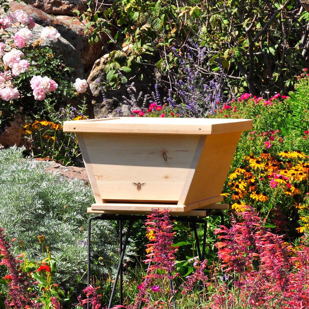 Top-Bar-Hive-Nuc-box