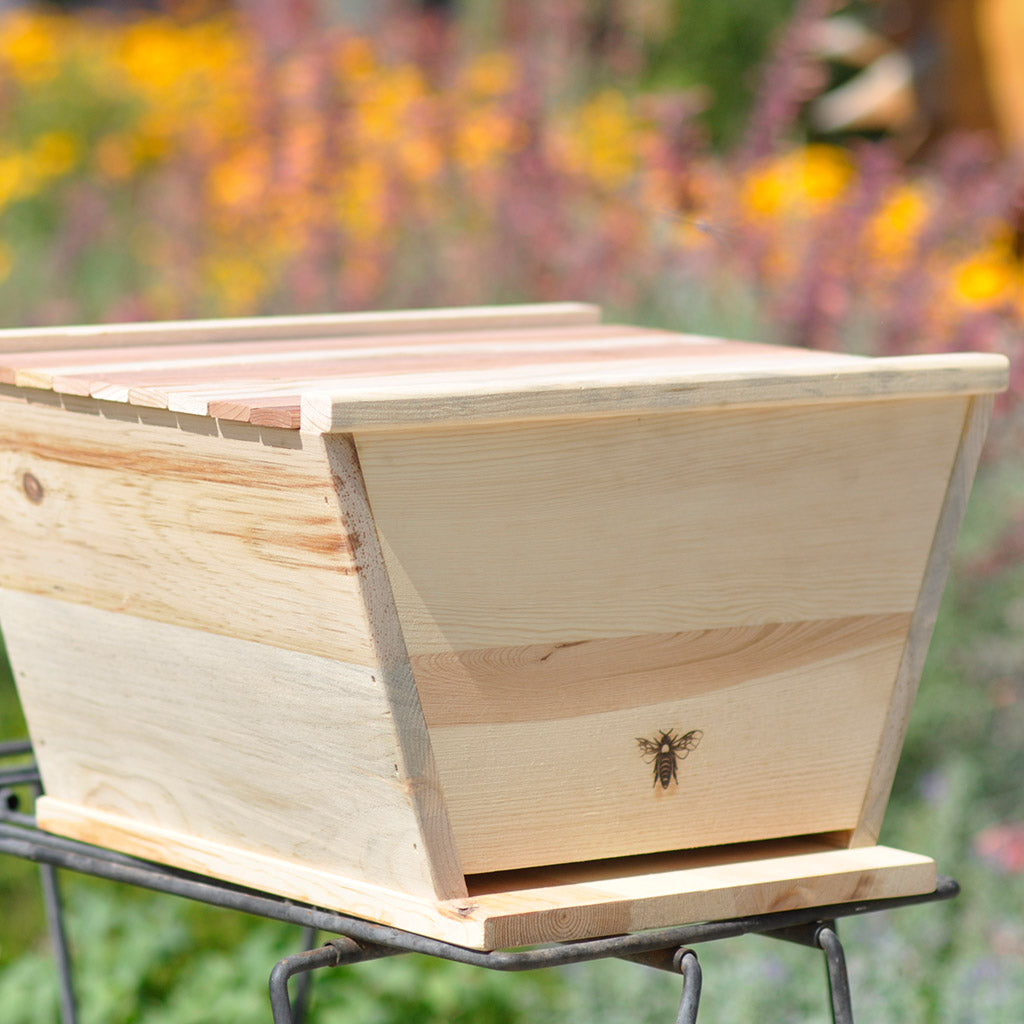 Top-Bar-Hive-Nuc-golden-mean