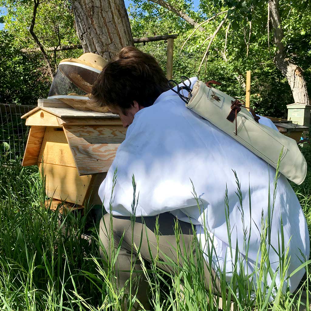 Bee Guardian Hive Tool Quiver Cathedral Hive 