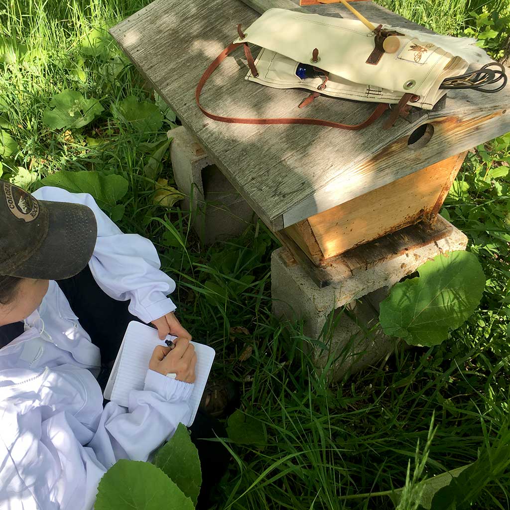 Beekeeping Journal for Hive Tool Quiver