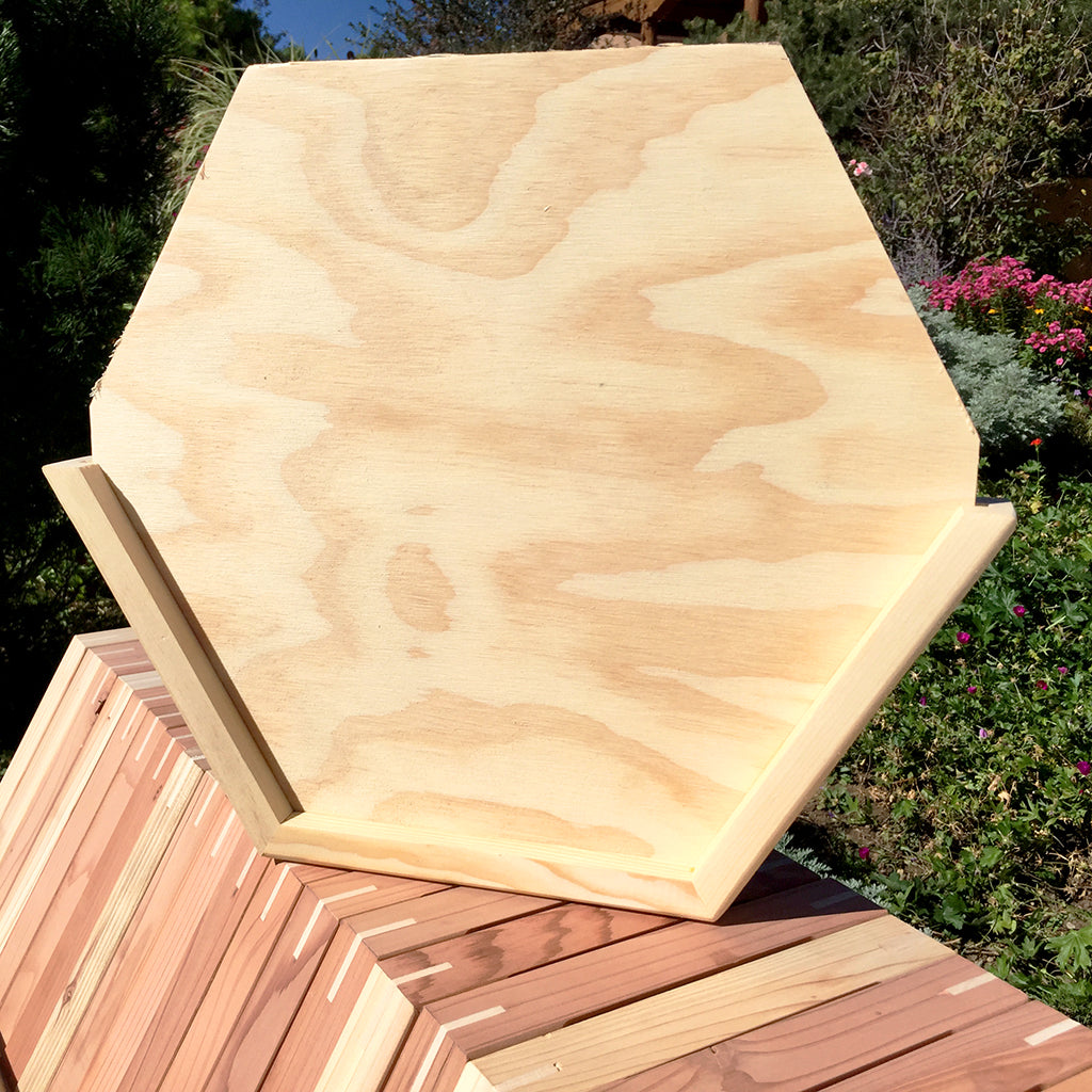 Cathedral Hive Wooden Flaseback hexagonal