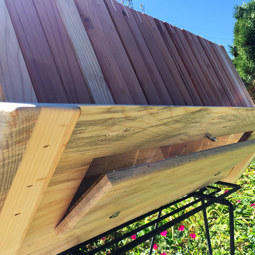 The Cathedral Hive viewing window 