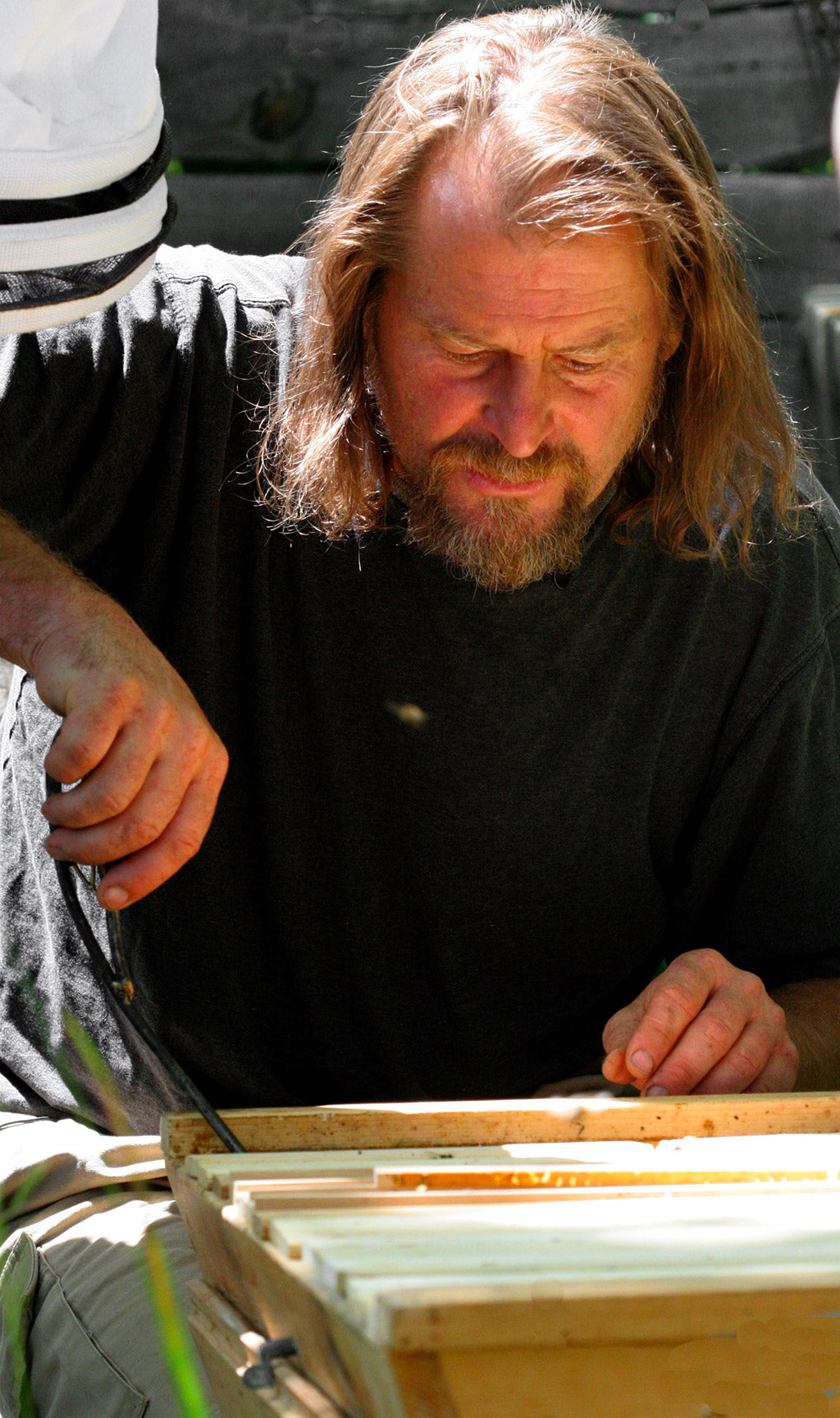 Beekeeping Training Video Streamable - Bee Guardian Methods