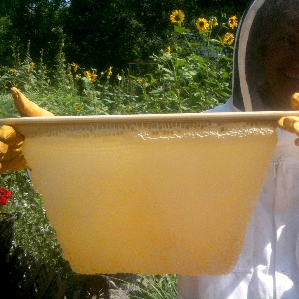 eldorado-gold-raw-honey-natural-tracable